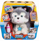 Little Live Pets Husky Interaktywny Piesek Frosty